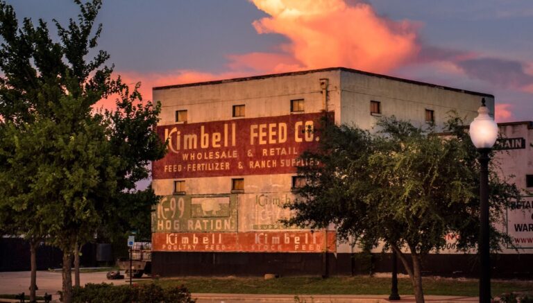 278646309 107642198594548 4878947436031661162 n